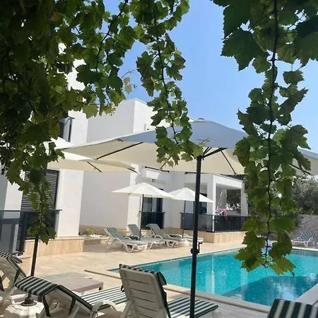 شقة 300m To 2 Bedroom Garden Floor Flat With Pool B1 - Yeni Duenya