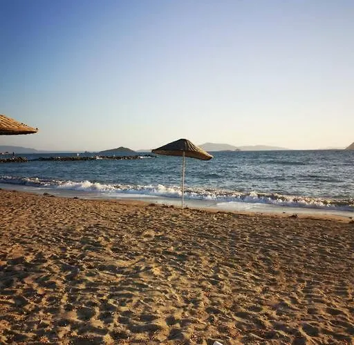 Appartement 300m To 2 Bedroom Garden Floor Flat With Pool B1 - Yeni Dunya